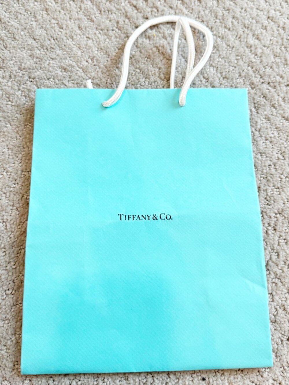 TIFFANY & CO. Paper Gift Shopping Bag 10x8x4"